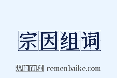 宗因组词是什么意思的图片